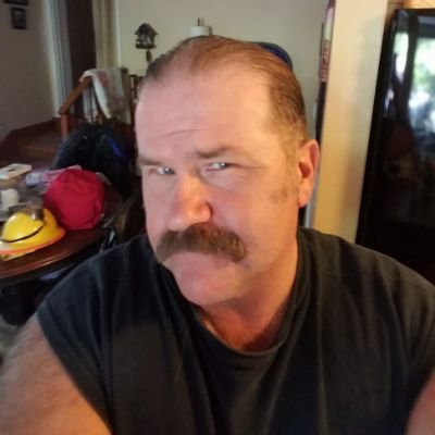 Profile Picture of Terry Hansen (@TerryHa89325476) on Twitter