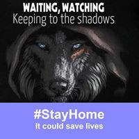 Declan Bennett - Quora Profile Picture of Declan Bennett (@declan-bennett-9) on Quora