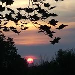 Profile Picture of Robin Royles-Purdy (@roylespurdy) on Instagram