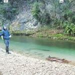 Profile Picture of Felipe Valdivia Arismendi (@l_felipe_v_a_) on Instagram