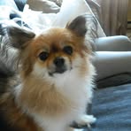 Profile Picture of Allison Dunphy (@Allison-Dunphy) on Facebook