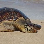 Profile Picture of Jody Helms McLemore (@jody.mclemore) on Instagram