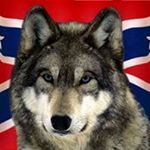 Profile Picture of Andrew DiMichele (@andrew.dimichele.14) on Instagram