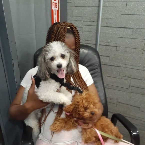 Profile Picture of Cassandra Brown (@cassandrabro337) on Poshmark