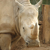 Profile Picture of Andrew Lorenz (@andrewlorenz67) on Youtube