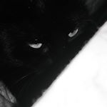 Profile Picture of Iris Salomon𓂀 (@iris._.salomon) on Instagram