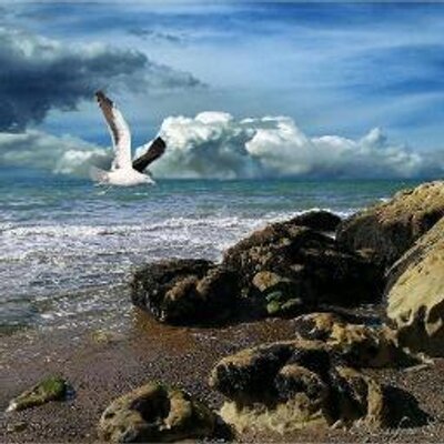 Profile Picture of Isabelle Lévesque (@IsabelleLvesque) on Twitter