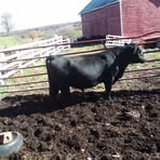 Profile Picture of Mark Vanderwerken (@mark.vanderwerken.1) on Facebook