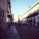 Mark Dinges - Instagram Profile Picture of Mark Dinges (@puretalica) on Instagram