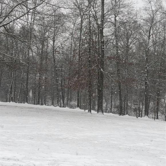 Profile Picture of Stacie Jennings (@staciej73) on Poshmark