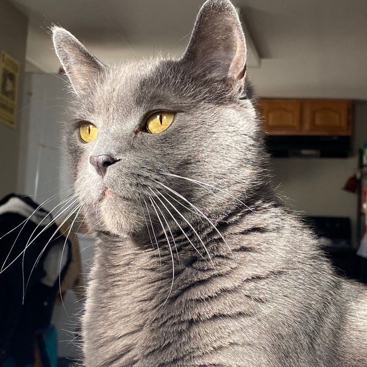 Profile Picture of Shelly Holena (@shelly123020) on Tiktok