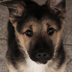 Profile Picture of Adam Nagy (@nesekai) on Flickr