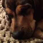 Profile Picture of Robert Westling (@robwestling) on Instagram