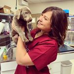 Profile Picture of Paige Bryan, Future DVM 🐾 LVT (@futuredogterpaige) on Instagram