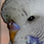 Profile Picture of My_snowy (@my_snowy) on Flickr