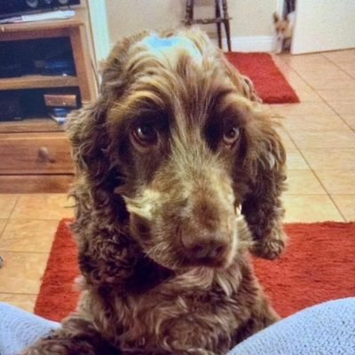 Profile Picture of Matt&Jules Allen (@MattAll82111727) on Twitter