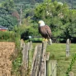 Profile Picture of David Newswanger (@David-Newswanger) on Facebook