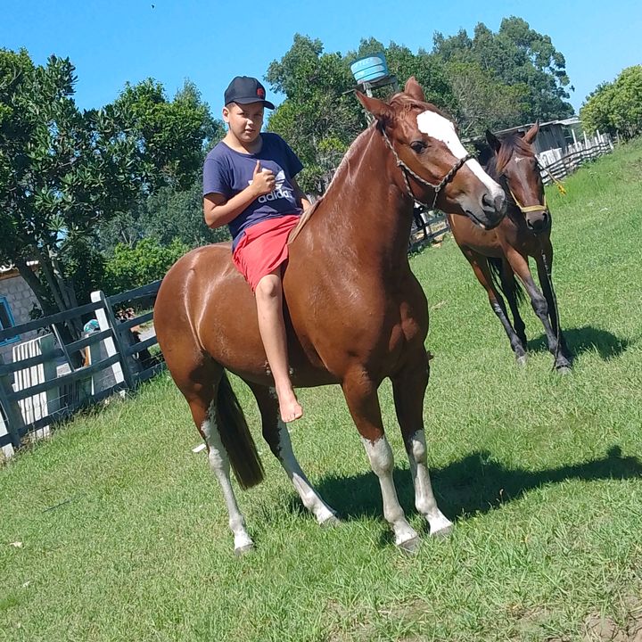 rocha - Tiktok Profile Picture of rocha (@lorenzorocha47) on Tiktok