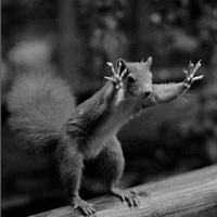 Profile Picture of Marshall Cain (@marshall-cain) on Quora