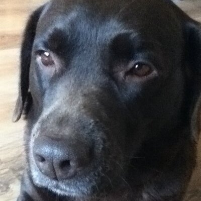 Profile Picture of Kelsey Bacon (@flowerpop23) on Twitter