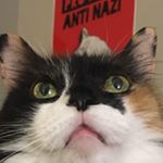Profile Picture of Becca Lady (@rebeccaposting) on Instagram