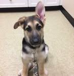 Profile Picture of David Talbot (@david.talbot.738525) on Facebook