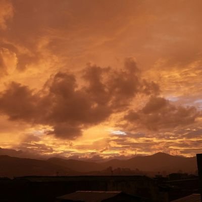 Profile Picture of ALEXANDER COBO (@ALEXANDERCOBO4) on Twitter