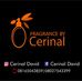 Profile Picture of Cerinal David (@cerinal.david) on Facebook