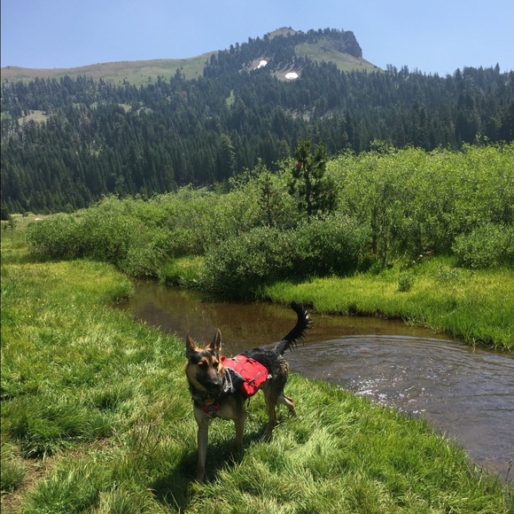 Profile Picture of Stephanie Orbon (@sorbon) on Poshmark