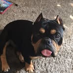 James Goderski - Facebook Profile Picture of James Goderski (@james.goderski) on Facebook