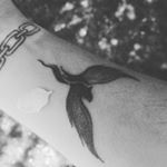 Profile Picture of Matias Nicolas Prieto Muñoz (@requiem_of_the_wolf) on Instagram