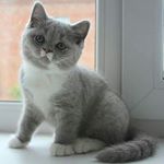 Profile Picture of gerlinger (@lisa.gerlingerl) on Instagram