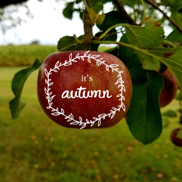 Profile Picture of Sadie Boerema (@slbhappy) on Poshmark