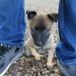 Profile Picture of Jeff Foltz (@jdfoltz1) on Instagram