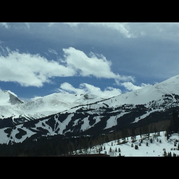 Adelaide Surucu - Poshmark Profile Picture of Adelaide Surucu (@adelaidesurucu) on Poshmark