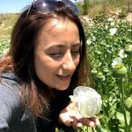 Profile Picture of Ada’lı Kahve (@fundaesim) on Instagram