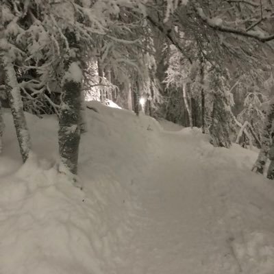 Profile Picture of Alexander Dakin (@bigal6ft10) on Twitter