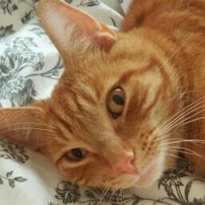 Profile Picture of jennifertarburton (@jennifertarburton) on Tiktok