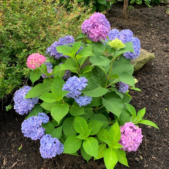 Profile Picture of Kaitlin Sukup (@ksukup18) on Poshmark