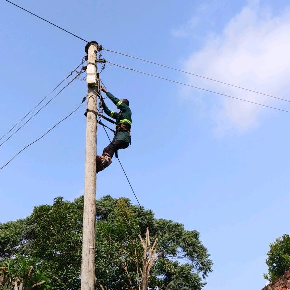 Profile Picture of timothy@eberns (@timothyeberns) on Tiktok