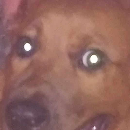 Profile Picture of Carl Collins (@@carlcollins000) on Tiktok