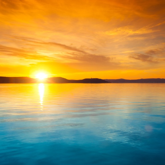 Profile Picture of Averythe Baconomg (@jilips927) on Poshmark