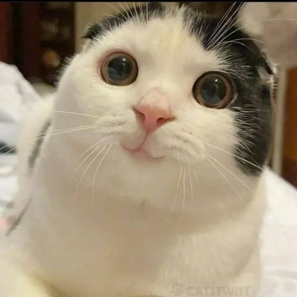 Profile Picture of Eunice Campos (@eunicecampos926) on Poshmark