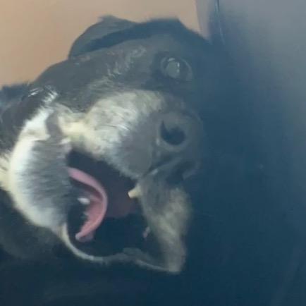 Profile Picture of ScottMearns (@scott_mearns) on Tiktok