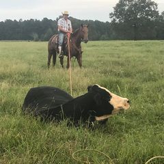 Profile Picture of Dustin Perryman (@dustinperryman) on Tiktok