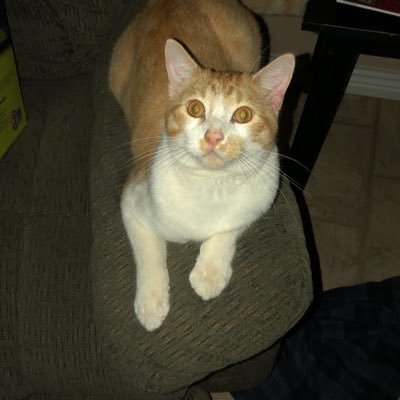 Profile Picture of Ethan Hinkle (@EthanHinkle2) on Twitter