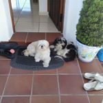 Profile Picture of Mickey Doyle (@mickey.doyle.378) on Instagram