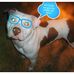 Profile Picture of Toney Mcree (@toney.mcree.581) on Facebook