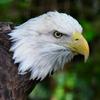 Profile Picture of JASON **A.K.A.**JT $ (@@jasontice6) on Tiktok