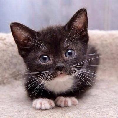 Profile Picture of Ευα Τσιγκ.Κρ. (@Evaki153E) on Twitter